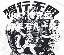 捷克运动员身手不凡一路高歌
